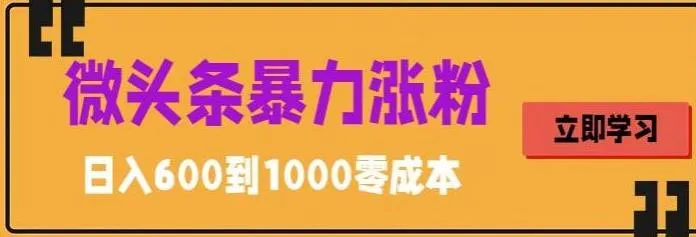 零成本增粉秘籍：微头条文案策略助你迅速吸金-网赚项目