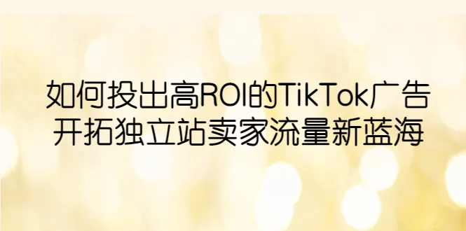 Tiktok广告投放策略：提高ROI，发掘独立站卖家流量的新市场-网赚项目