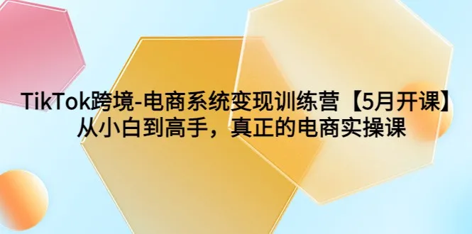 掌握TikTok跨境电商：从新手到高手的实操训练【5月最新课程】-网赚项目