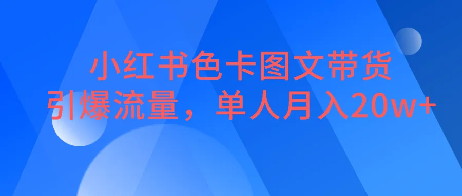 掌握小红书色卡图文带货秘籍：单月20W 收入揭秘！-网赚项目