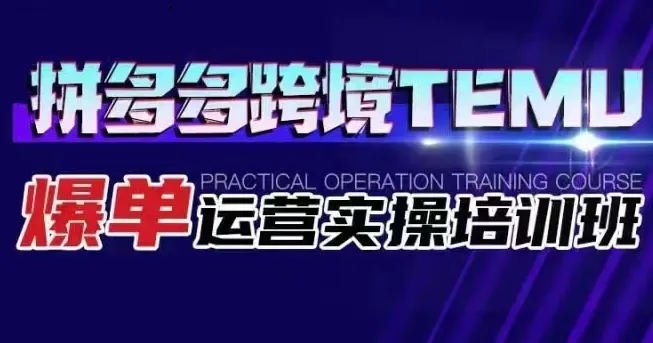 拼多多跨境TEMU爆单运营实操培训班：深度解析海外拼多多的选品、运营、爆单技巧-网赚项目
