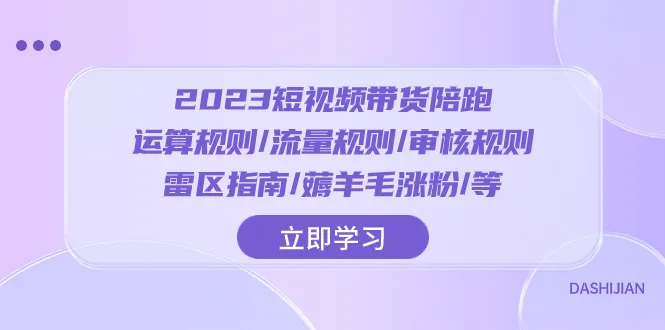 2023年短视频营销攻略：运营玩法、粉丝增长技巧-网赚项目