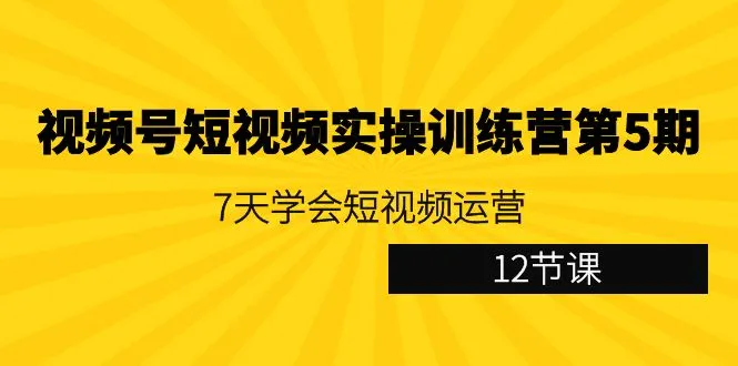 视频号短视频实操训练营第5期：7天学会短视频运营-网赚项目