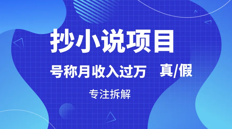 探索抄小说项目的真相：月增更多是否可行？详细解析-网赚项目