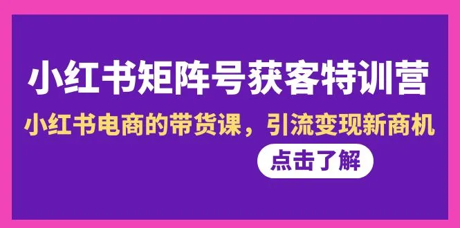 小红书-矩阵号获客特训营-第10期，小红书电商的带货课，引流变现新商机-网赚项目