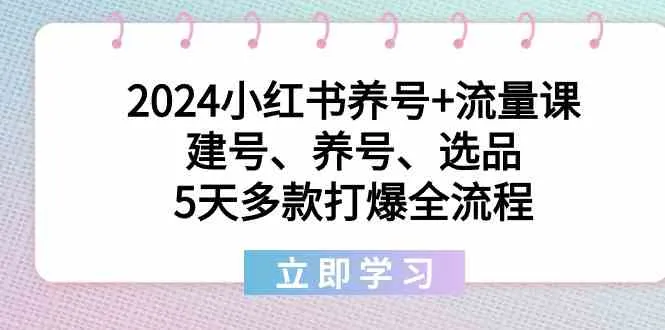 2024小红书养号 流量课：打造爆款、赢取流量的全流程解析-网赚项目