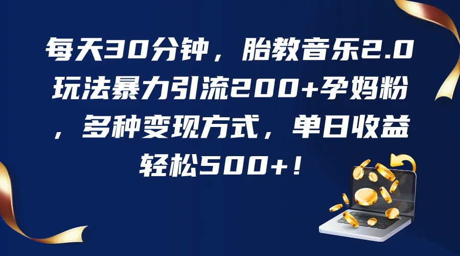 创意胎教音乐：30分钟每日，引爆200 孕妈粉的暴力引流玩法！-网赚项目