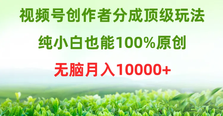 揭秘视频号创作者分成顶级玩法，纯小白也能轻松实现月收入更多 ！-网赚项目