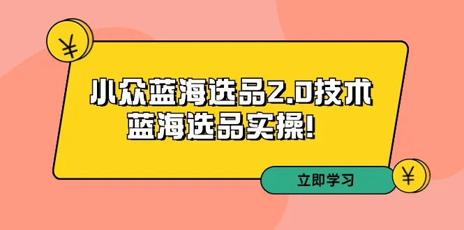 拼多多培训第33期：小众蓝海选品2.0技术-蓝海选品实操！-网赚项目