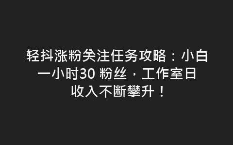 轻抖涨粉关注任务攻略：小白一小时30 粉丝，工作室日收入不断攀升！-网赚项目