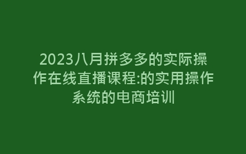 2023八月拼多多的实际操作在线直播课程:的实用操作系统的电商培训-网赚项目