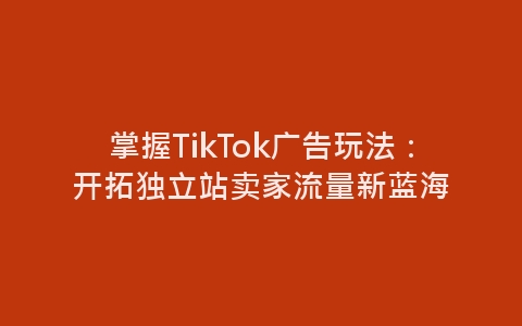 掌握TikTok广告玩法：开拓独立站卖家流量新蓝海-网赚项目