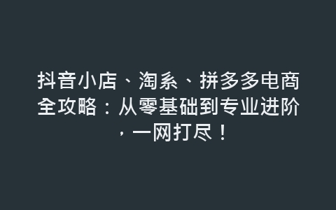 抖音小店、淘系、拼多多电商全攻略：从零基础到专业进阶，一网打尽！-网赚项目