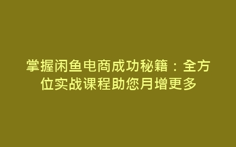 掌握闲鱼电商成功秘籍：全方位实战课程助您月增更多-网赚项目