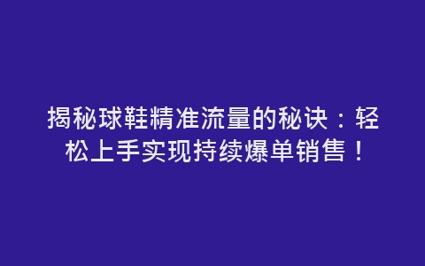 揭秘球鞋精准流量的秘诀：轻松上手实现持续爆单销售！-网赚项目