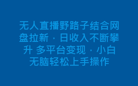 无人直播野路子结合网盘拉新，日收入不断攀升 多平台变现，小白无脑轻松上手操作-网赚项目