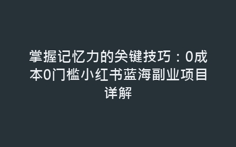 掌握记忆力的关键技巧：0成本0门槛小红书蓝海副业项目详解-网赚项目