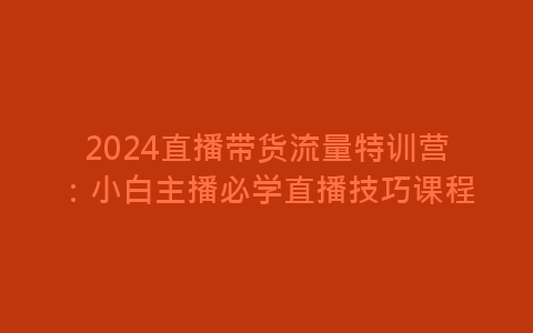 2024直播带货流量特训营：小白主播必学直播技巧课程-网赚项目