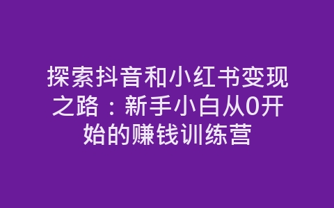 探索抖音和小红书变现之路：新手小白从0开始的赚钱训练营-网赚项目