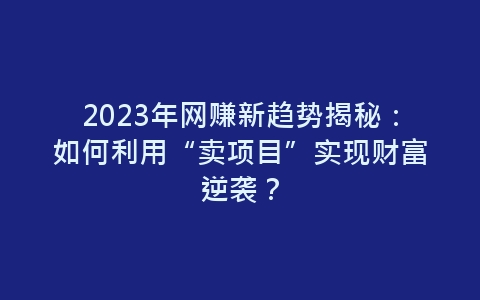 2023年网赚新趋势揭秘：如何利用“卖项目”实现财富逆袭？-网赚项目