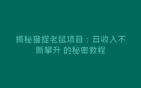 揭秘猫捉老鼠项目：日收入不断攀升 的秘密教程-网赚项目