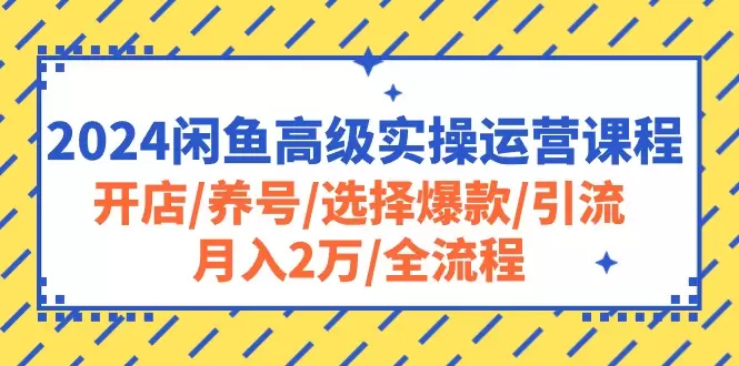 2024闲鱼高级实操运营课程：开店/养号/选择爆款/引流/月入增多/全流程-网赚项目