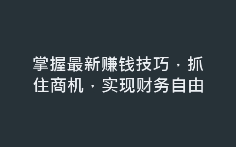 掌握最新赚钱技巧，抓住商机，实现财务自由-网赚项目