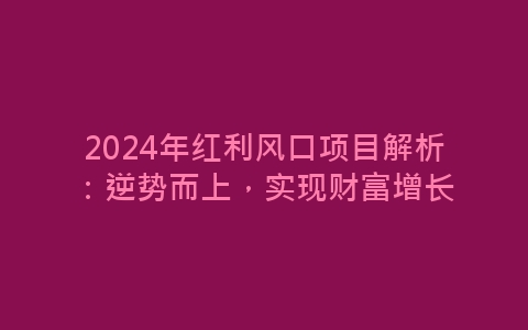 2024年红利风口项目解析：逆势而上，实现财富增长-网赚项目