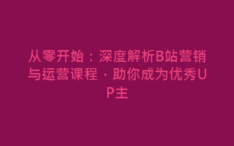 从零开始：深度解析B站营销与运营课程，助你成为优秀UP主-网赚项目