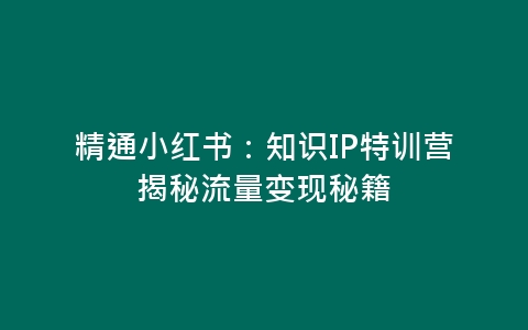 精通小红书：知识IP特训营揭秘流量变现秘籍-网赚项目