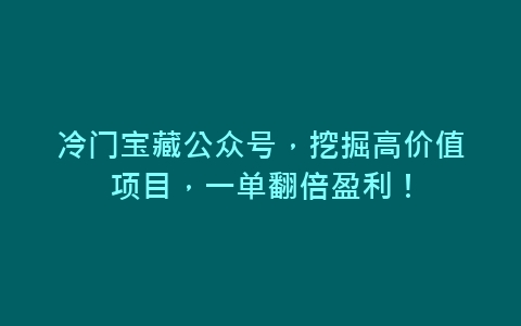 冷门宝藏公众号，挖掘高价值项目，一单翻倍盈利！-网赚项目