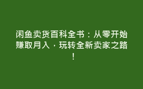 闲鱼卖货百科全书：从零开始赚取月入，玩转全新卖家之路！-网赚项目