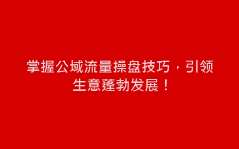 掌握公域流量操盘技巧，引领生意蓬勃发展！-网赚项目