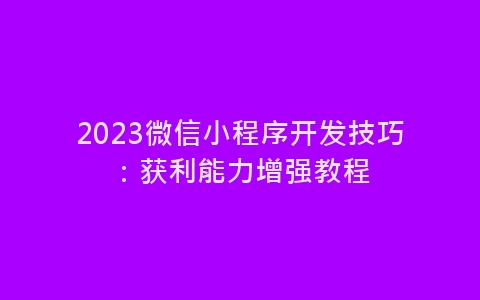 2023微信小程序开发技巧：获利能力增强教程-网赚项目