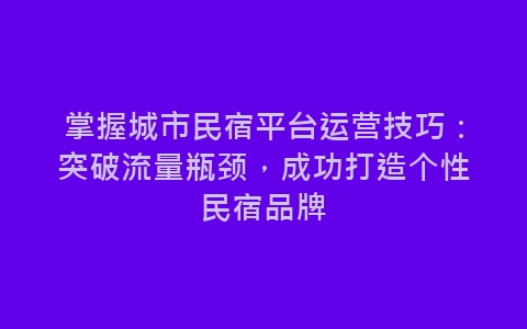 掌握城市民宿平台运营技巧：突破流量瓶颈，成功打造个性民宿品牌-网赚项目