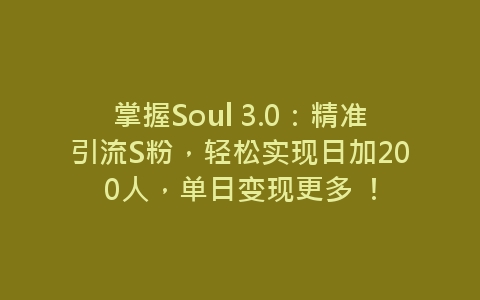 掌握Soul 3.0：精准引流S粉，轻松实现日加200人，单日变现更多 ！-网赚项目