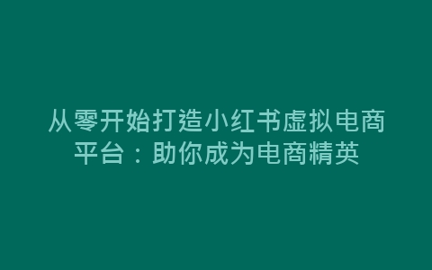 从零开始打造小红书虚拟电商平台：助你成为电商精英-网赚项目