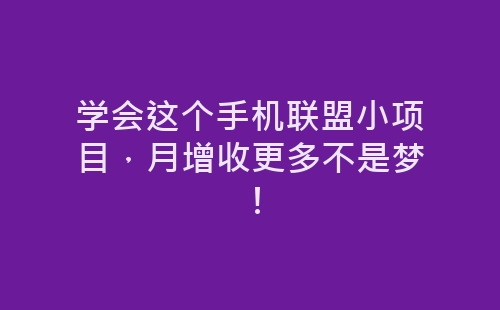 学会这个手机联盟小项目，月增收更多不是梦！-网赚项目