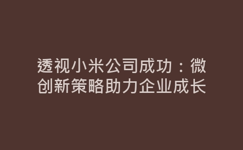 透视小米公司成功：微创新策略助力企业成长-网赚项目