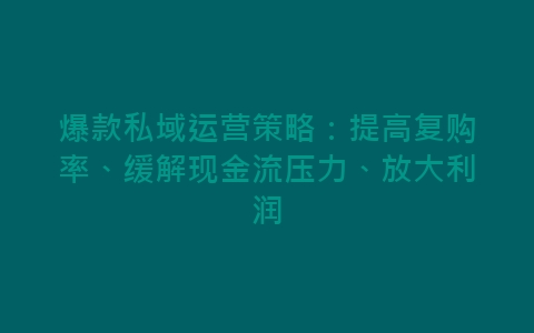 爆款私域运营策略：提高复购率、缓解现金流压力、放大利润-网赚项目