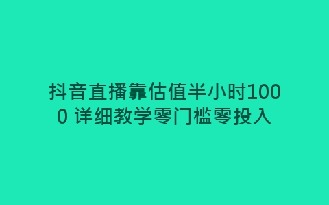 抖音直播靠估值半小时1000 详细教学零门槛零投入-网赚项目