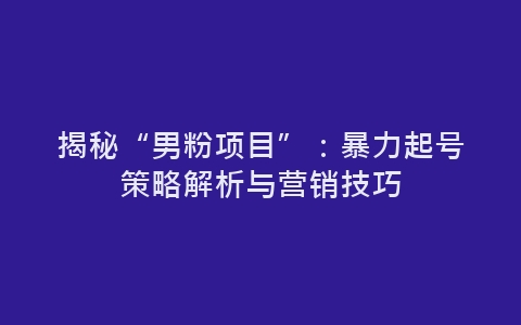 揭秘“男粉项目”：暴力起号策略解析与营销技巧-网赚项目