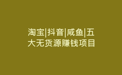 淘宝|抖音|咸鱼|五大无货源赚钱项目-网赚项目