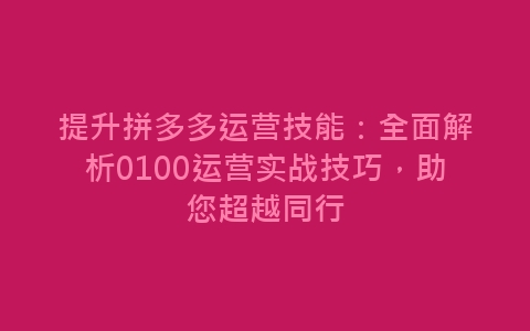 提升拼多多运营技能：全面解析0100运营实战技巧，助您超越同行-网赚项目