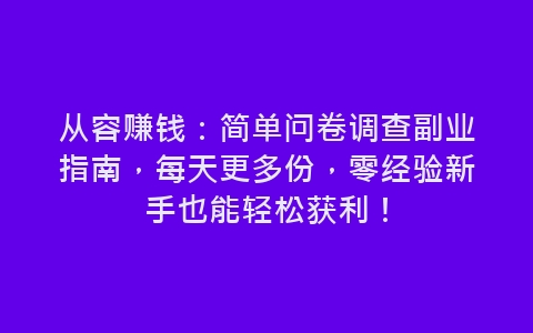 从容赚钱：简单问卷调查副业指南，每天更多份，零经验新手也能轻松获利！-网赚项目