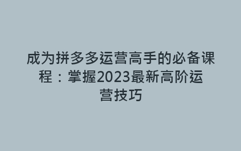 成为拼多多运营高手的必备课程：掌握2023最新高阶运营技巧-网赚项目