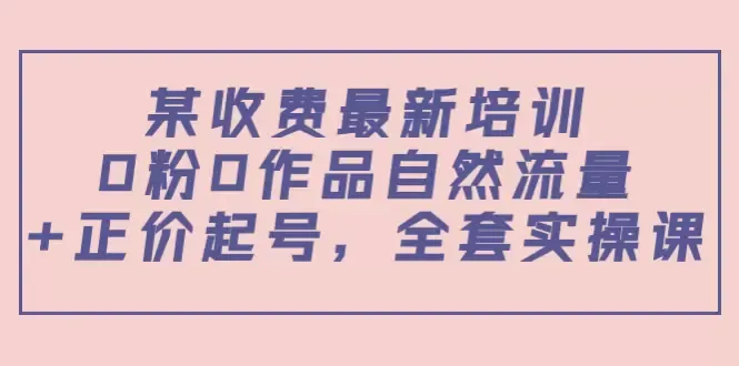 打造自然流量 正价起号：全新实操课程揭秘！-网赚项目