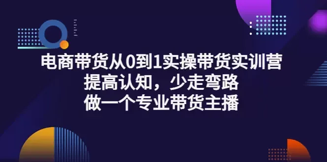 电商带货全能力实操指南：从零到一，打造专业主播-网赚项目