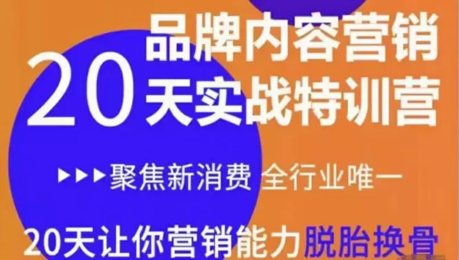 《20天内容营销特训营》：打造品牌、吸引流量、引爆增长的必备利器-网赚项目