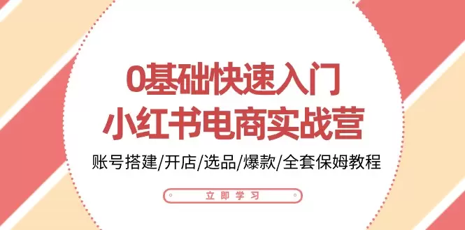 0基础快速掌握小红书电商全攻略：从账号搭建到爆款打造-网赚项目